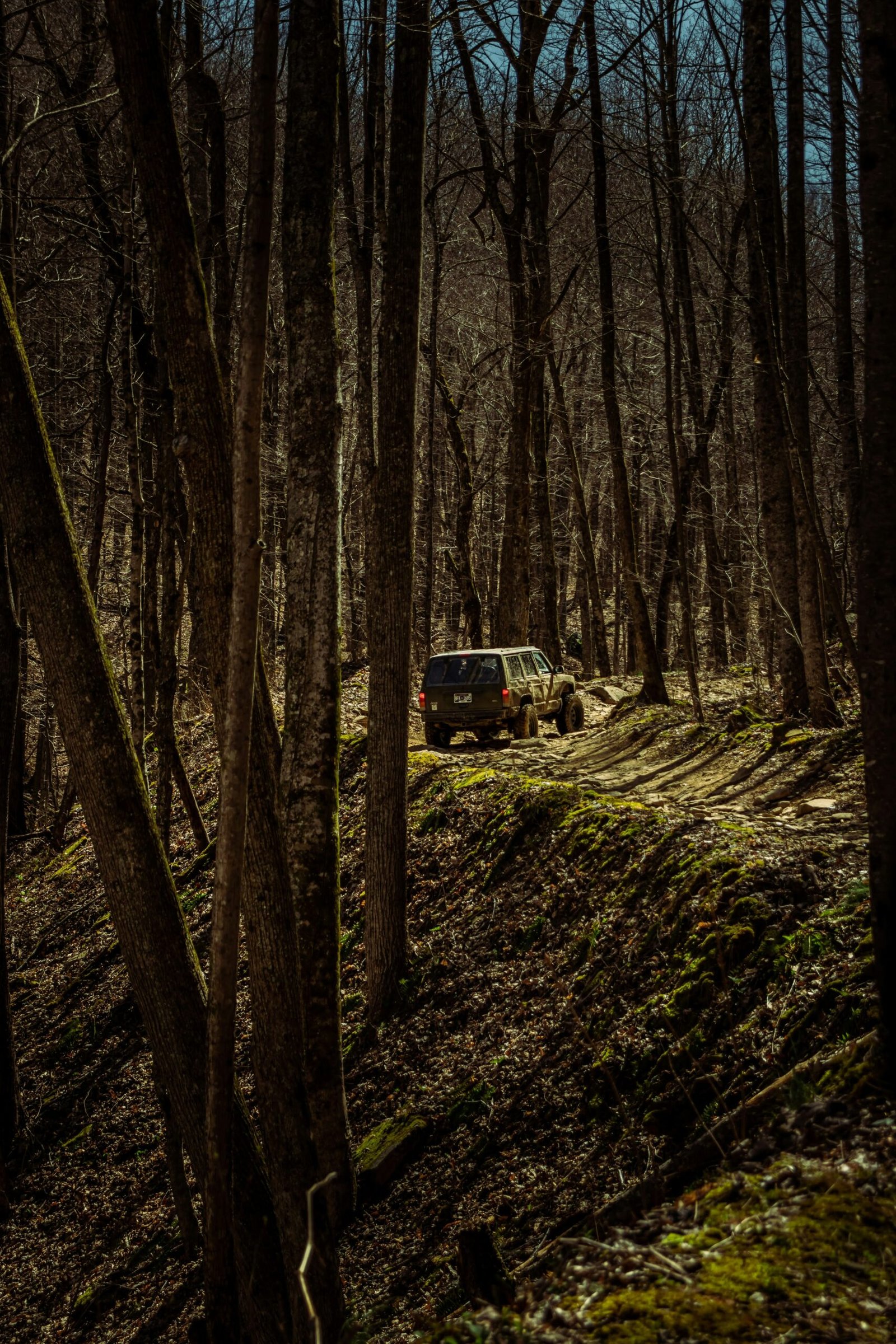 Truck Report